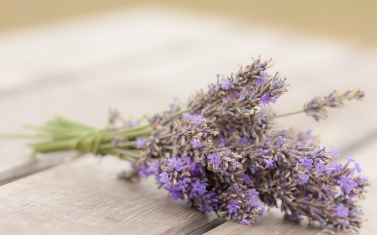 Лаванда шалфей Вереск