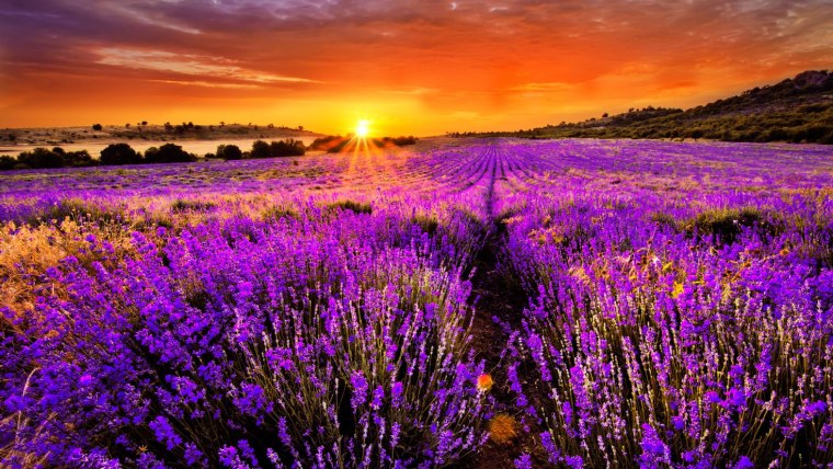 Планшет Ursus m210