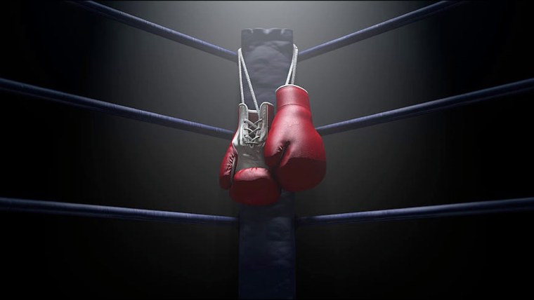 Оксерские Перчаткина ринге