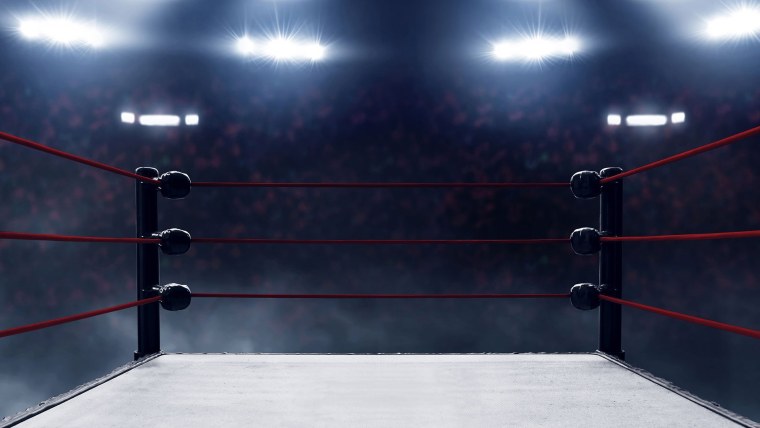 Бойцовский ринг