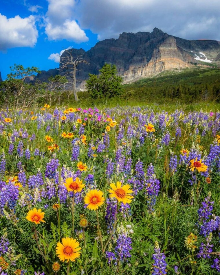 Красота природы