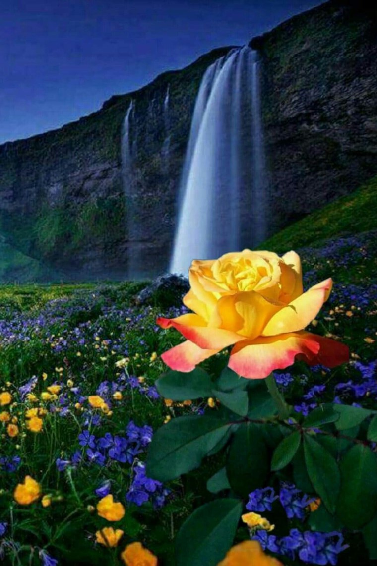 Восхитительная природа