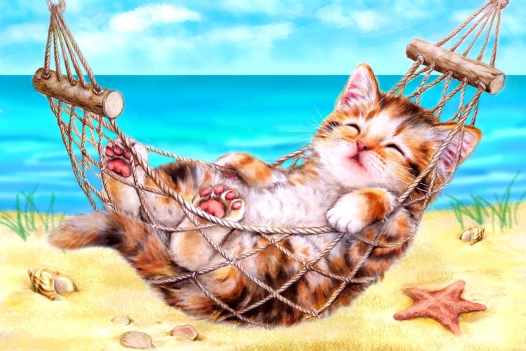 Кот лежит в гамаке