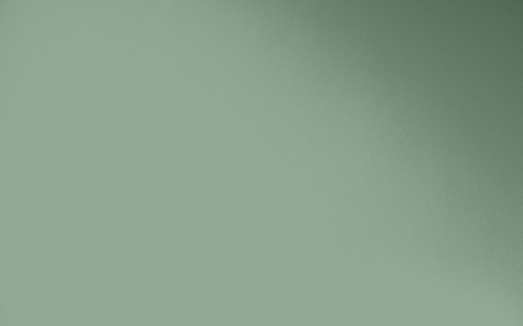 Краска Paint Library 596, Salvia