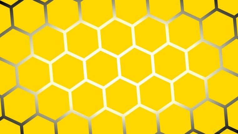 Соты пчелиные