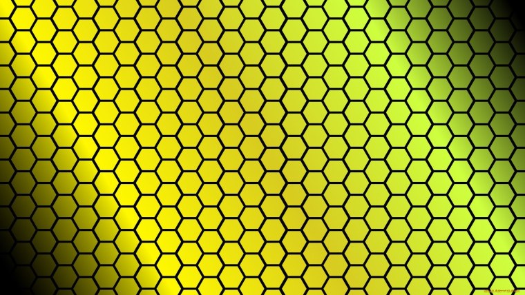 Соты пчелиные