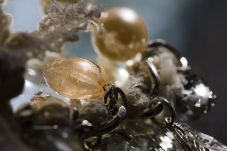 Насекомые в кристаллах