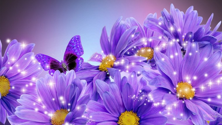 Сиреневый фон с ромашками