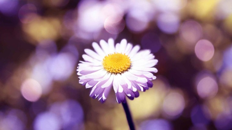 Фон цветочки