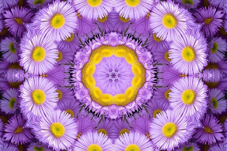 Цветы на черном фоне