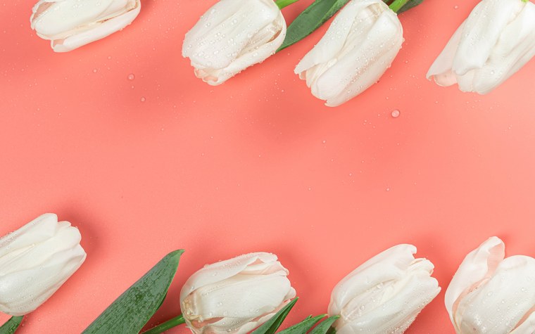 Белые тюльпаны