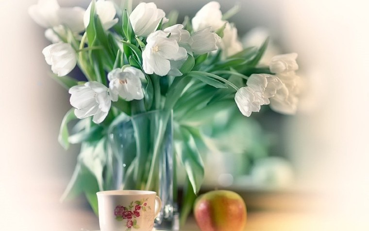 Тюльпаны Минимализм