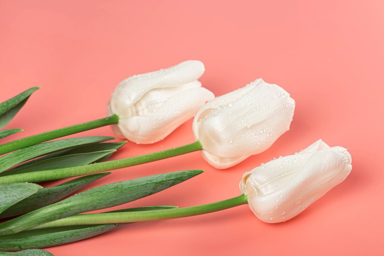 Белые цветы