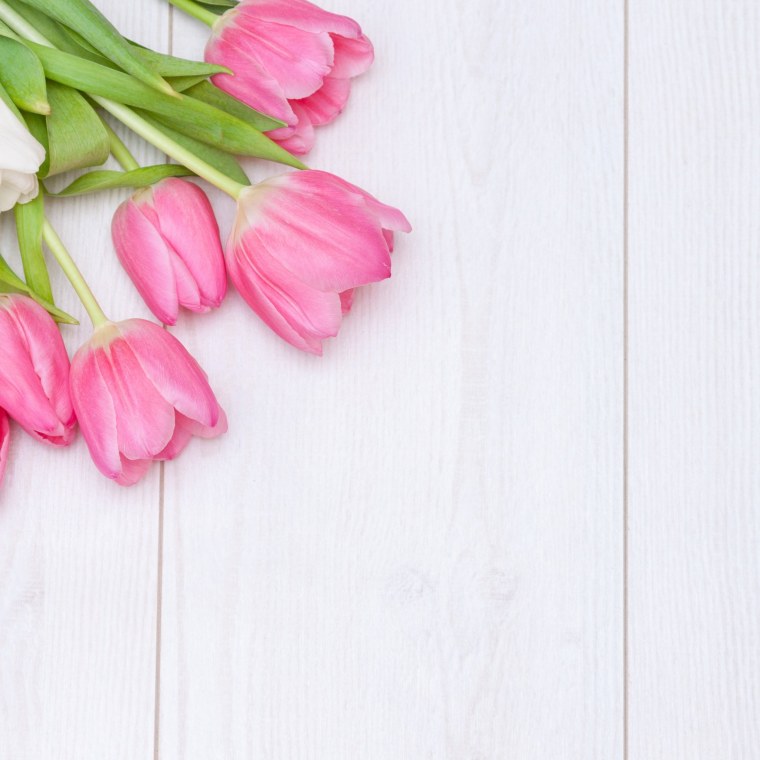 Белые тюльпаны