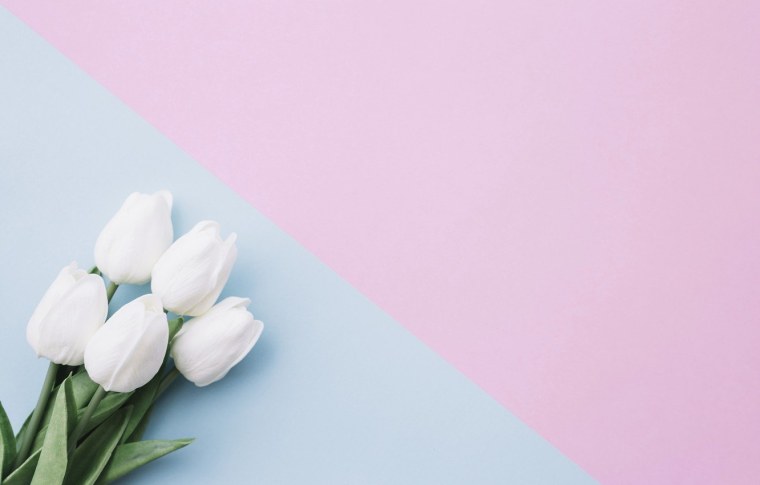 Тюльпан White Mountain