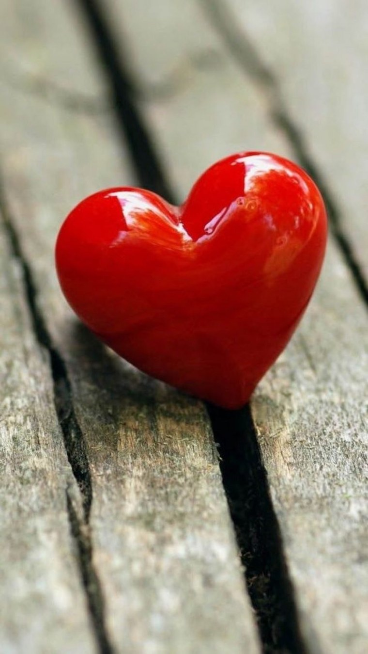 Сердце любовь