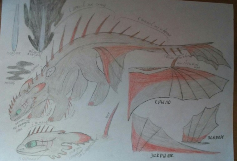 Пони креатор дракон