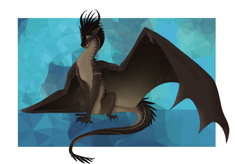 Адопты драконы окрас