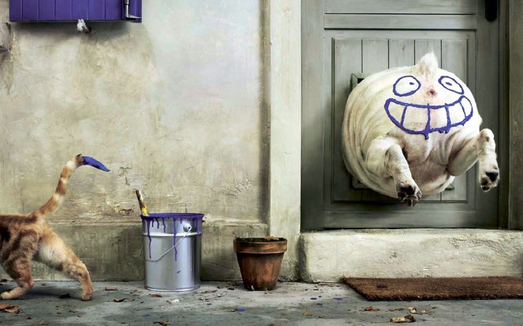 Смешные рисунки на рабочий стол