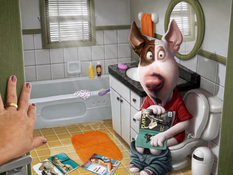 Прикольные обои