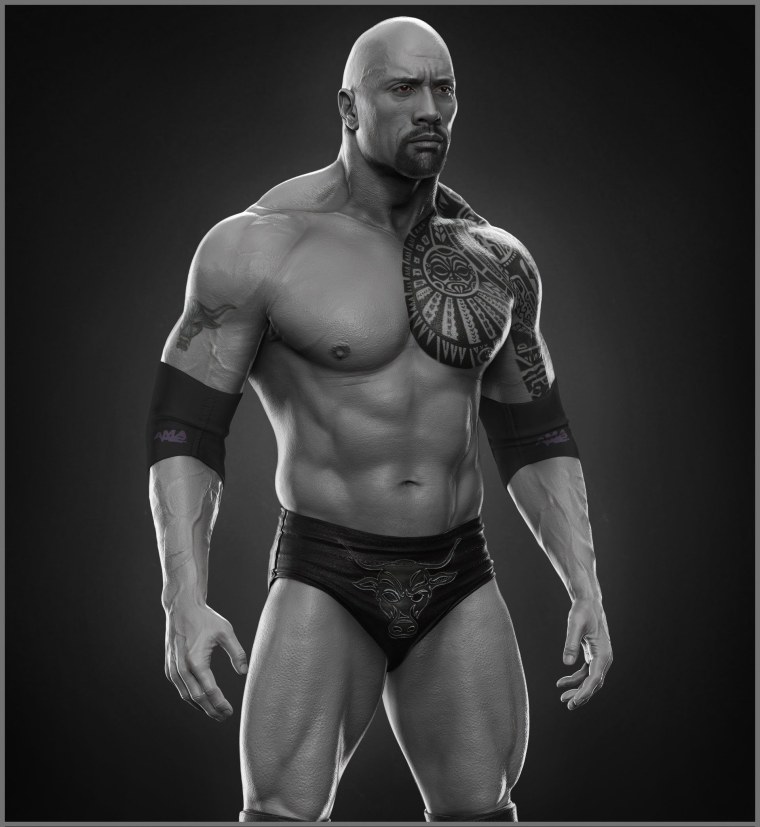 Скала Джонсон 2013