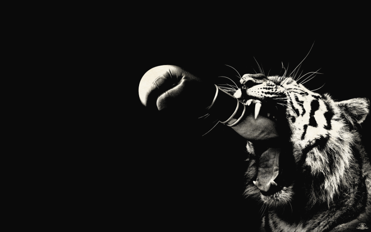 Рокки 3 Постер