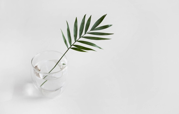 Листья Минимализм