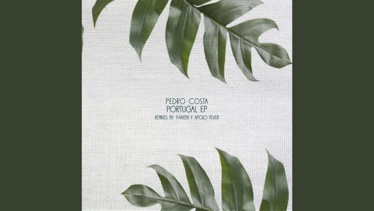 Эстетика листьев на белом фоне