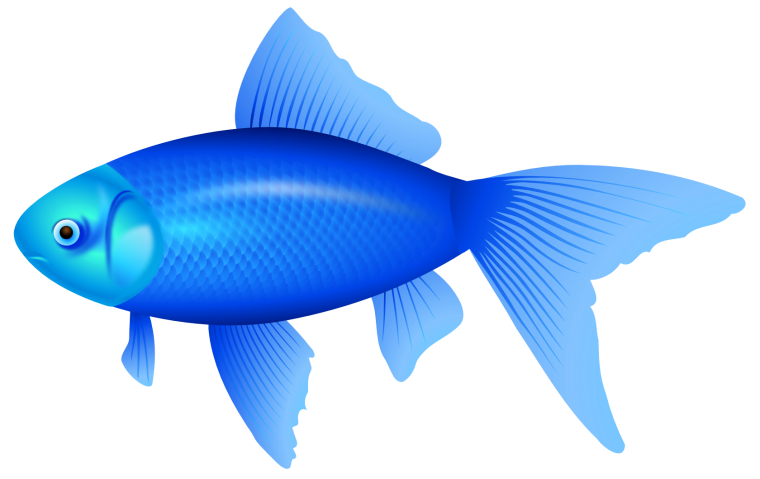 Рыбки на белом фоне