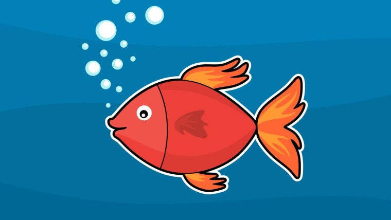 Фото рыбы нарисованной