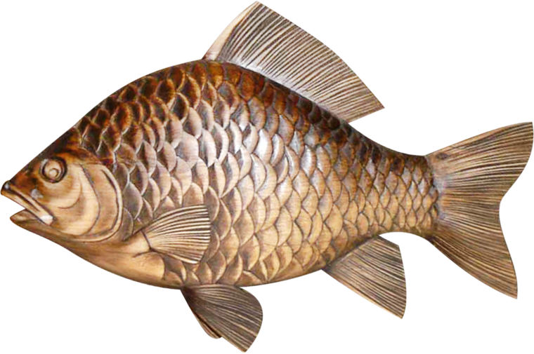 Карп и тилапия