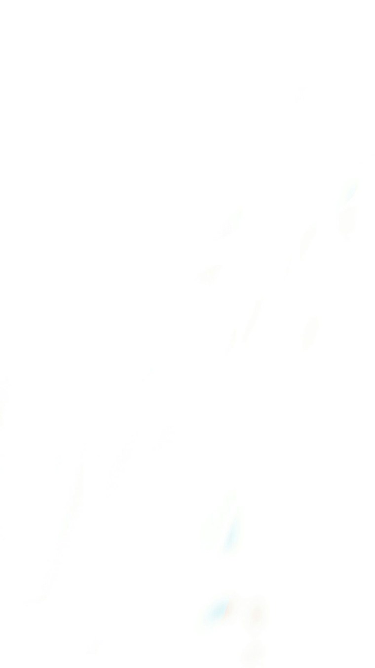 Белые обои на айфон 12