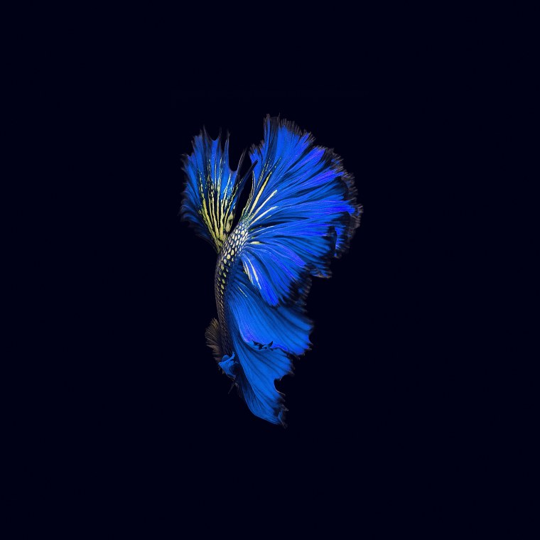 Обои на айфон 7