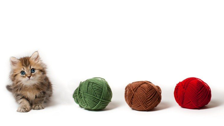 Котенок с клубочком