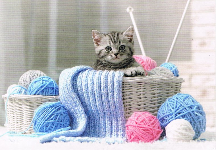 Кошка и клубок ниток