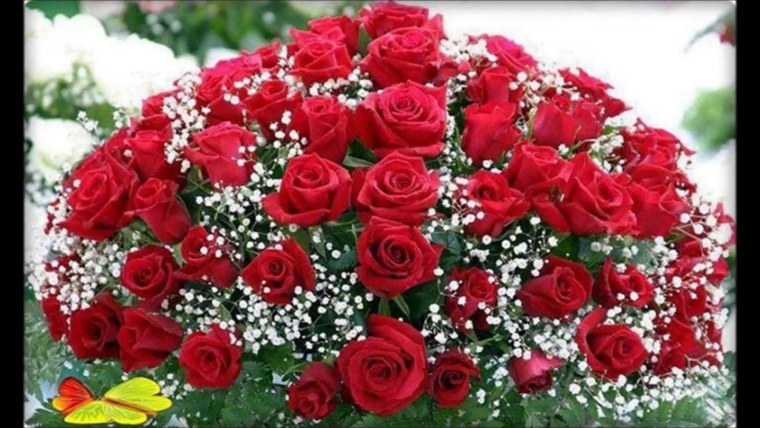 Очень красивый букет роз