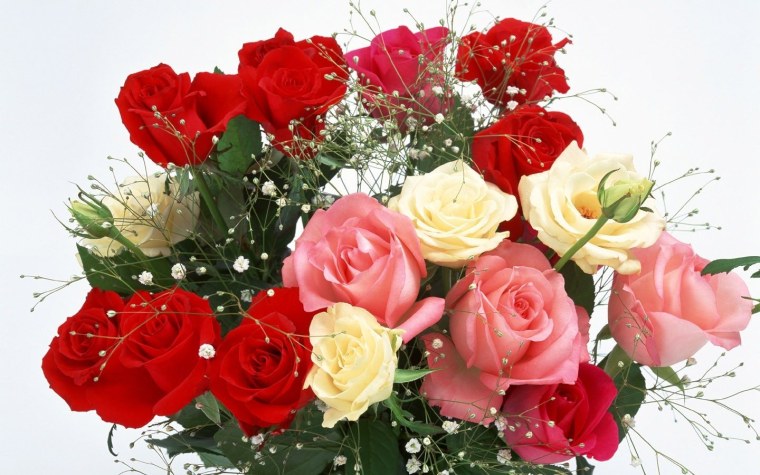 Роза супер сенсейшен