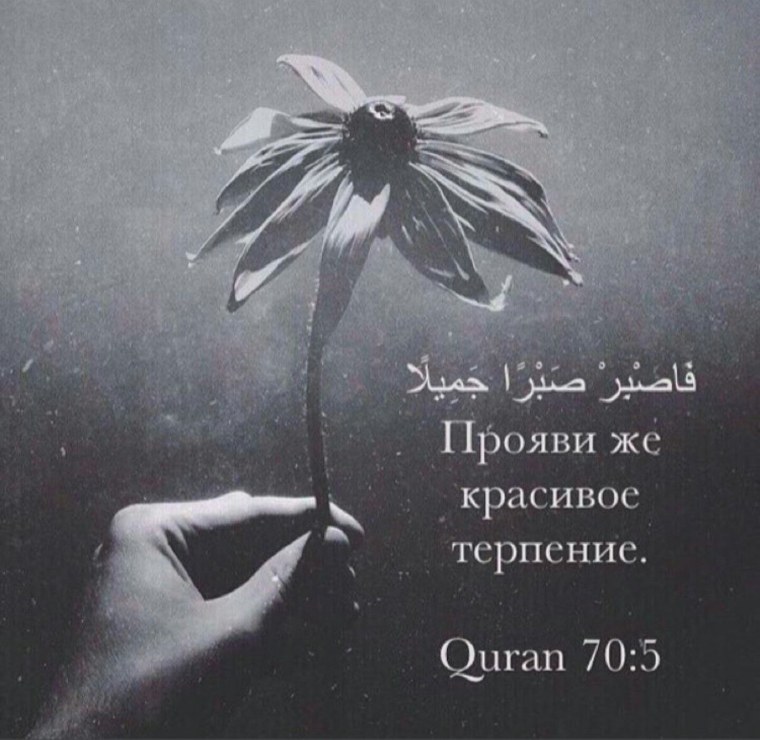 Высказывания про терпение