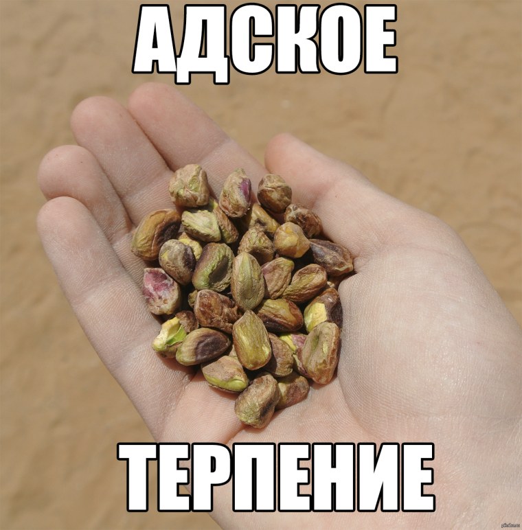 Там где кончается терпение начинается выносливость