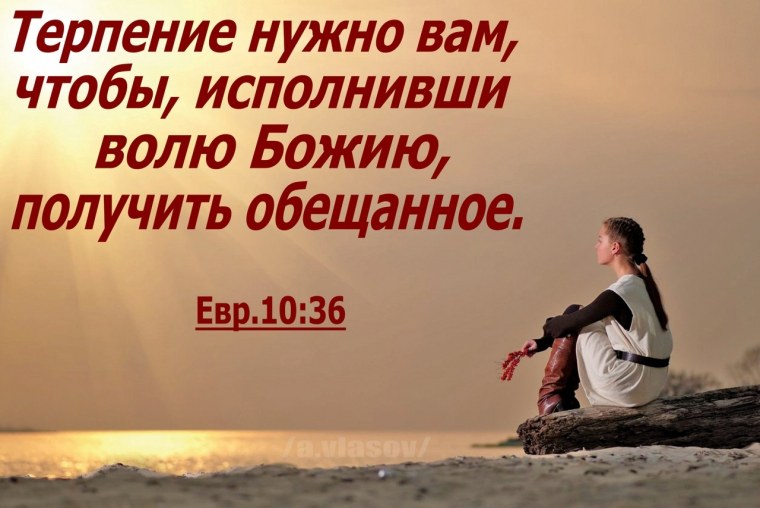 Прикольные высказывания