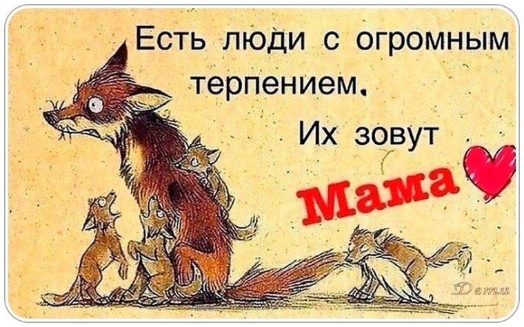 Терпение цитаты