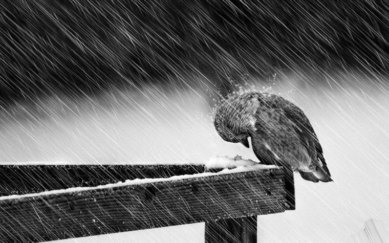 Красивые слова про жизнь