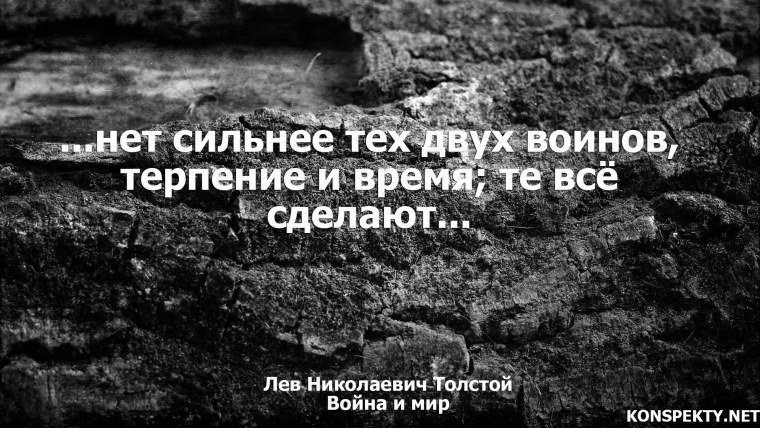 Овладей терпением и ты овладеешь всем