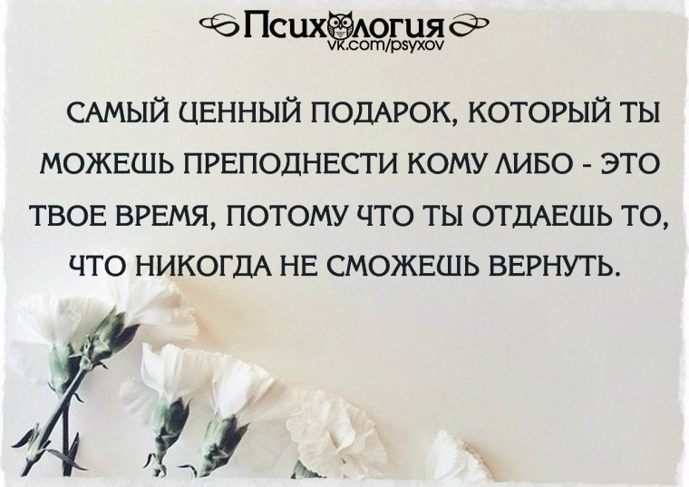 Обои стволы деревьев