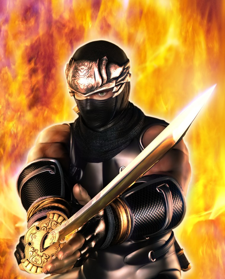 Ниндзя Гайден