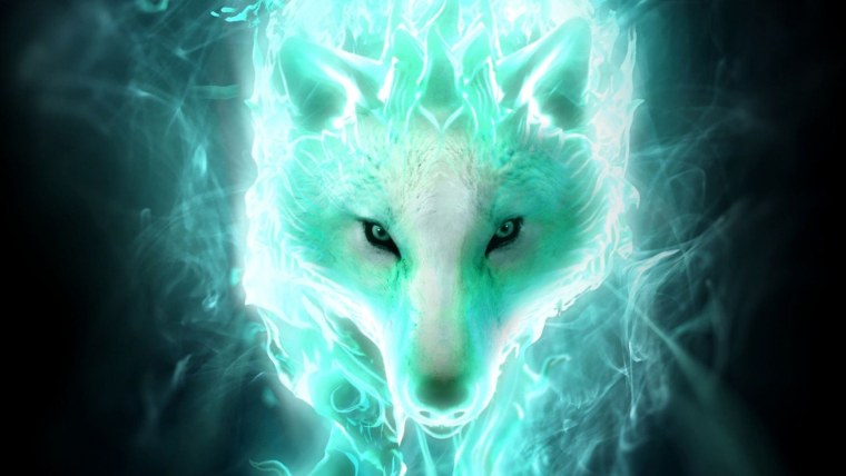 Черный волк