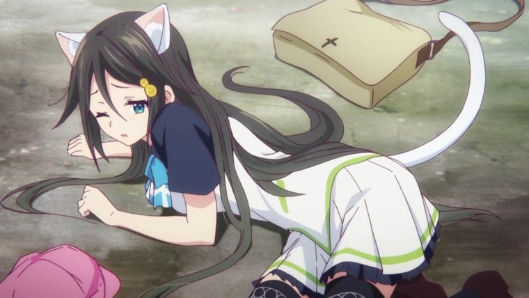 Рейна Изуми неко