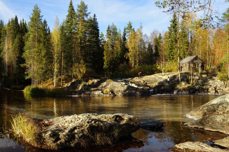 Карелия Тайга