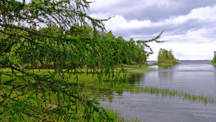 Карелия лес озеро