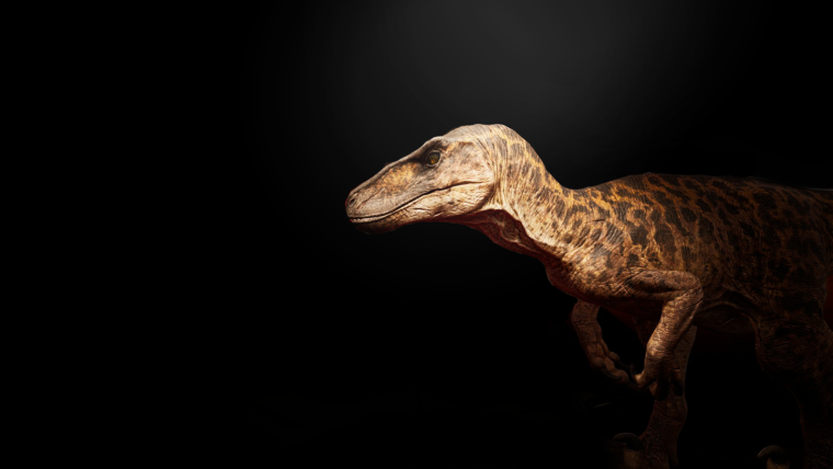 Фон the Isle динозавры